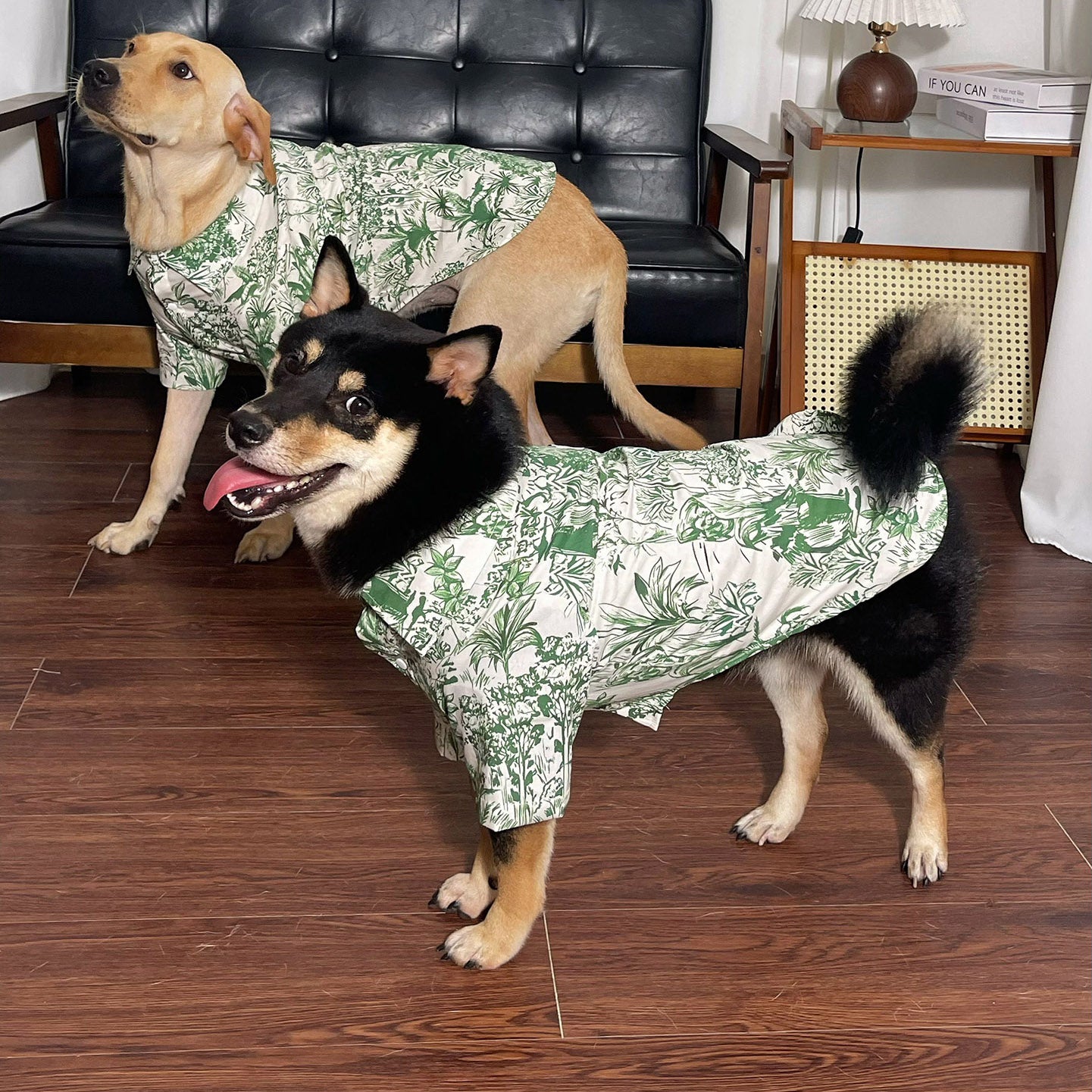 Best Hawaiian Shirt for Medium and Large Dogs