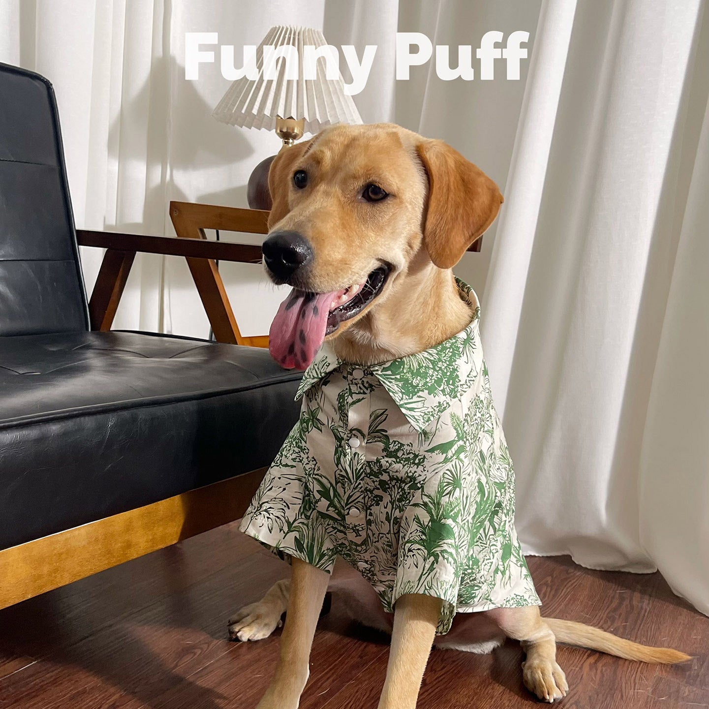 Best Hawaiian Shirt for Medium and Large Dogs
