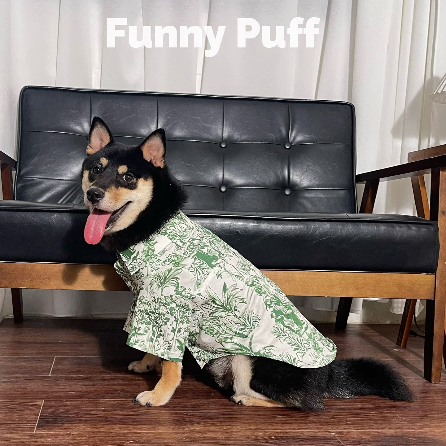 Best Hawaiian Shirt for Medium and Large Dogs