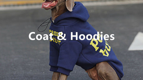 Dog Coat & Hoodies