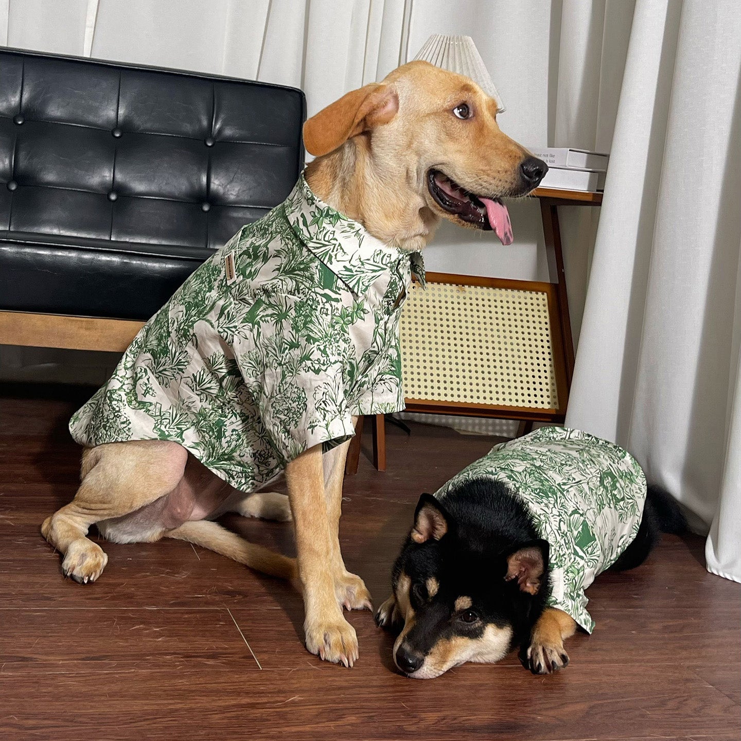 Dog Shirts