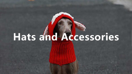 Dog Hats and Accessories