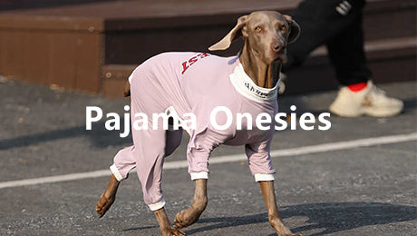 Dog Pajama Onesies