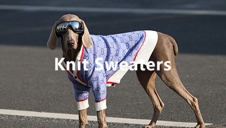 Dog Knit Sweaters
