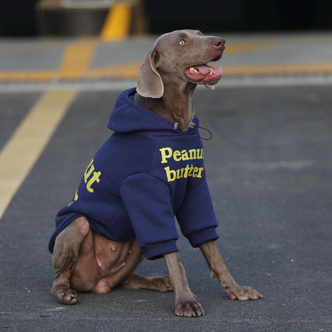 Blue Hoodie Sweater for Medium, Large Dogs