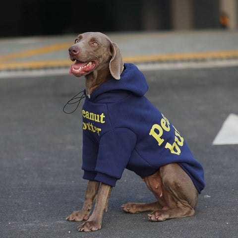 Blue Hoodie Sweater for Medium, Large Dogs