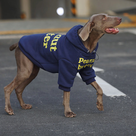 Blue Hoodie Sweater for Medium, Large Dogs