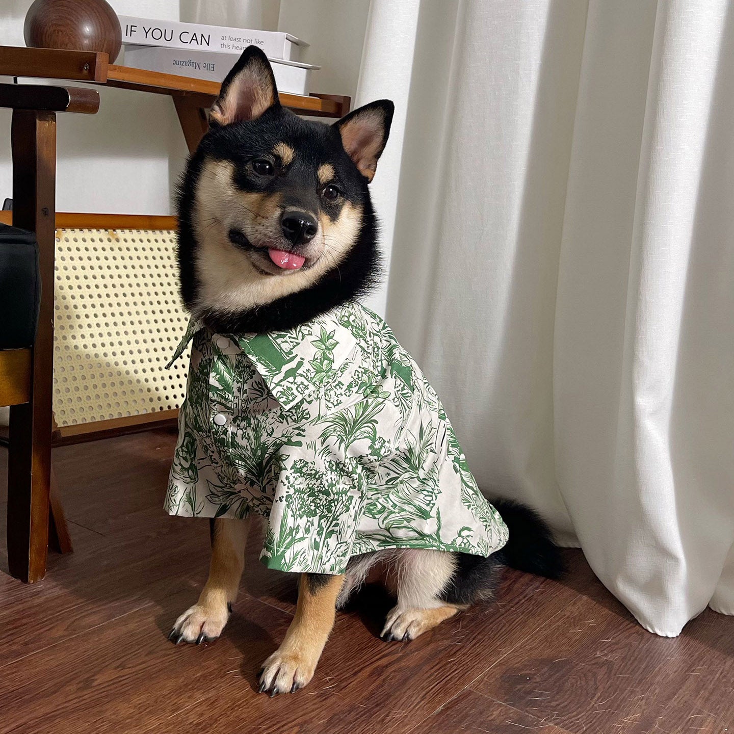 Best Hawaiian Shirt for Medium and Large Dogs