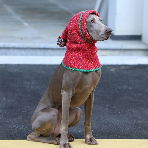 クリスマス帽子 編み物 暖かい 耳あて 犬用帽子