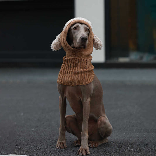 Knitting Warm Freeze-proofing Ear Protection Dog Hat