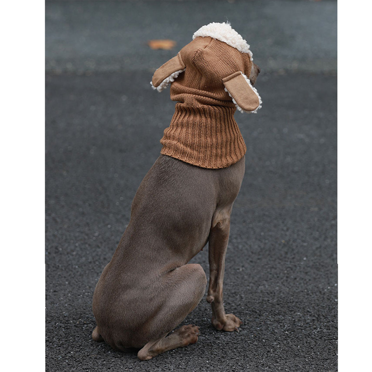 Knitting Warm Freeze-proofing Ear Protection Dog Hat