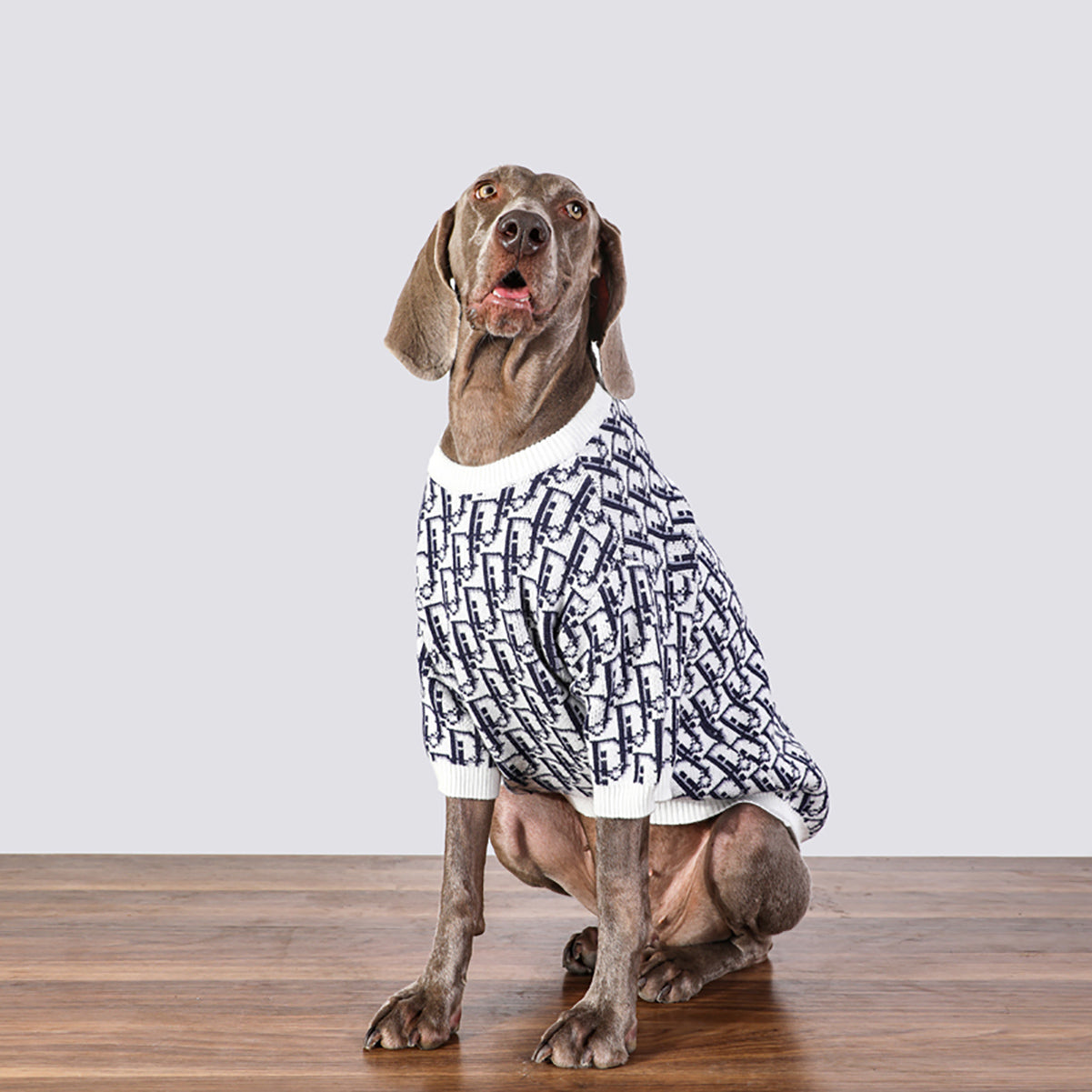 Dogior Monogram Big Dog Sweater