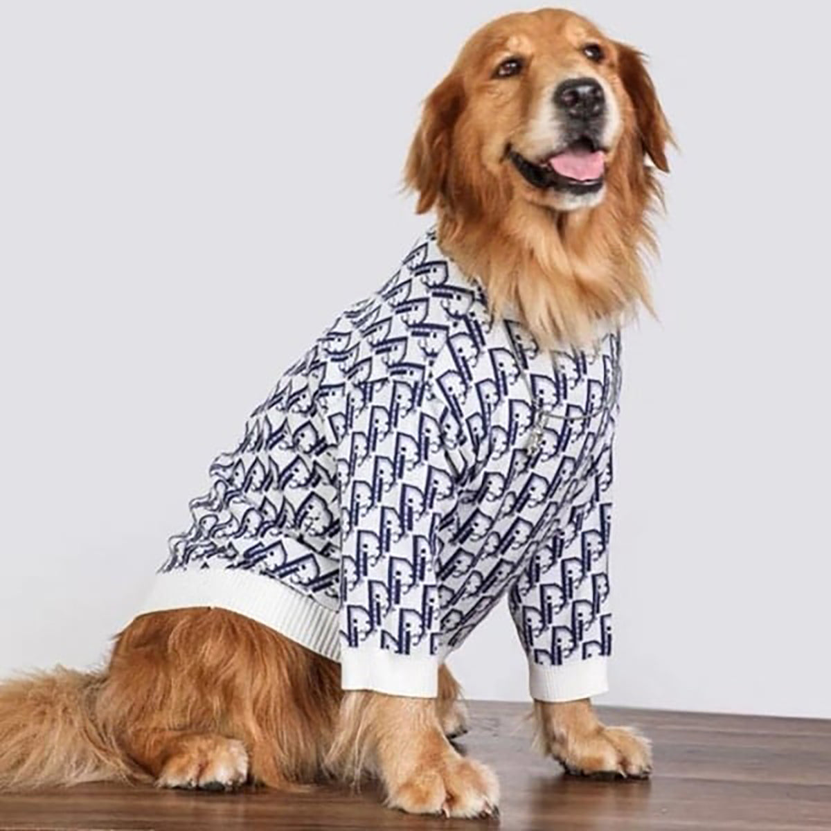 Dogior Monogram Big Dog Sweater