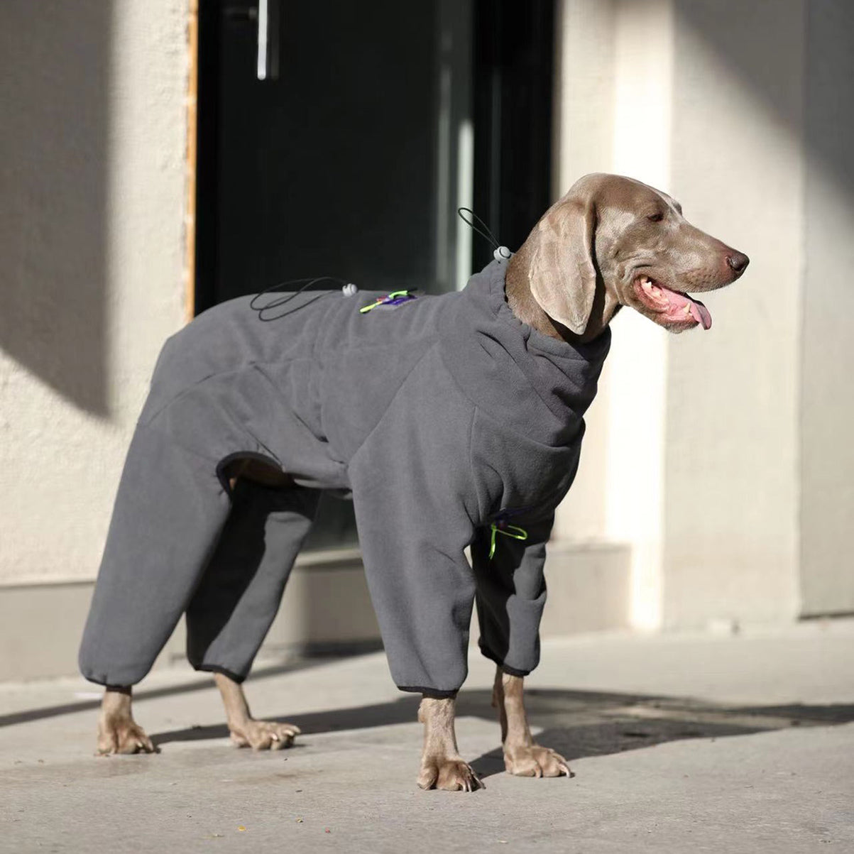 Big Dog Clothing Fleece Onesie
