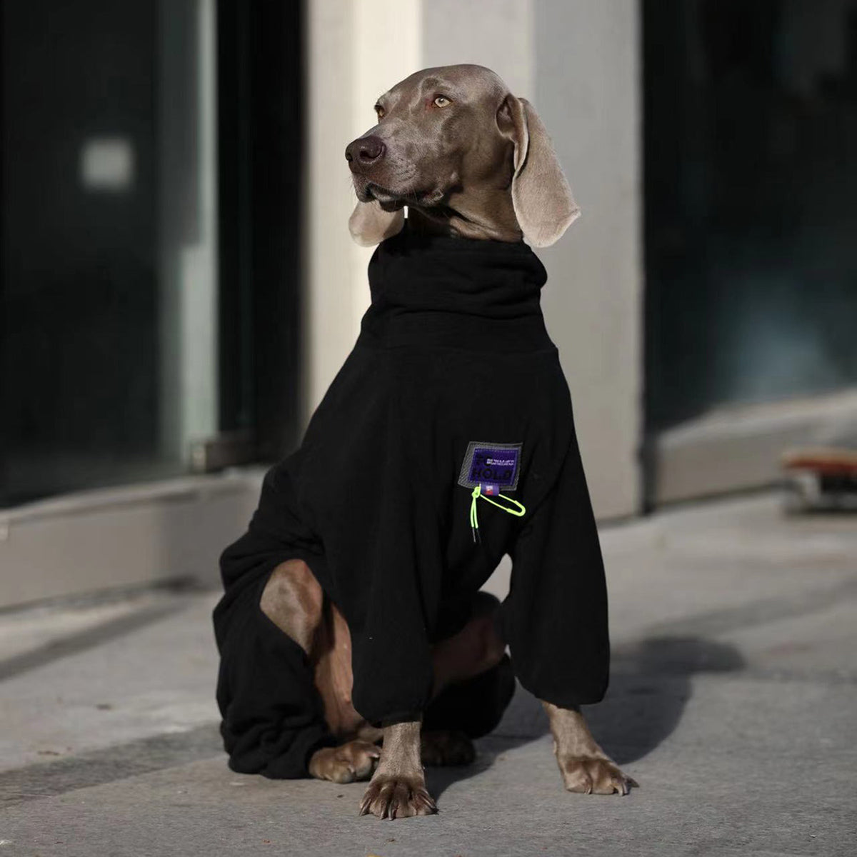 Big Dog Clothing Fleece Onesie