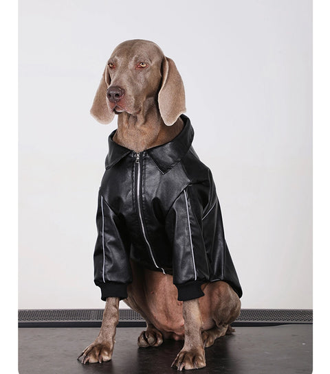 Hunde-Hoodie – Hochwertiger Hundepullover für mittelgroße und große Hunde | Warme Kleidung für Labrador Retriever, Shiba Inu, Welpen, Alternative zur Winterjacke 