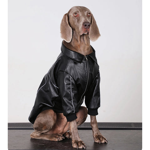 Hunde-Hoodie – Hochwertiger Hundepullover für mittelgroße und große Hunde | Warme Kleidung für Labrador Retriever, Shiba Inu, Welpen, Alternative zur Winterjacke 