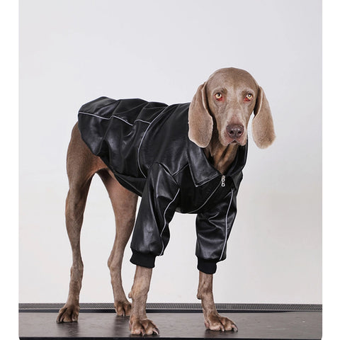 Hunde-Hoodie – Hochwertiger Hundepullover für mittelgroße und große Hunde | Warme Kleidung für Labrador Retriever, Shiba Inu, Welpen, Alternative zur Winterjacke 