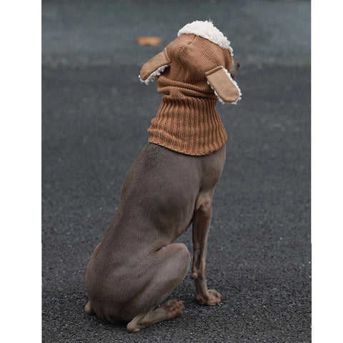 Strickmütze für Hunde: Warmer, frostsicherer Ohrenschutz