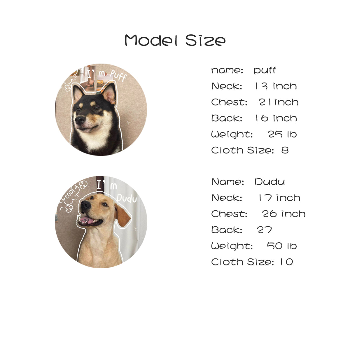 Best Hawaiian Shirt for Medium and Large Dogs