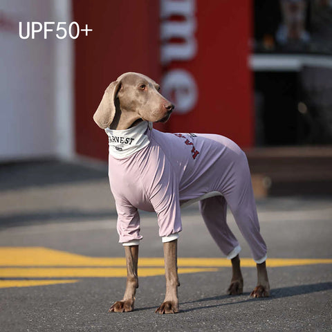 Soft Cotton Breathable Onesie Big Dog Clothes UPF50+