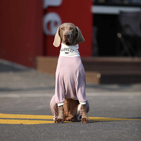 Soft Cotton Breathable Onesie Big Dog Clothes UPF50+