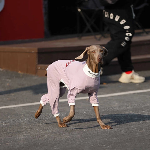 Soft Cotton Breathable Onesie Big Dog Clothes UPF50+