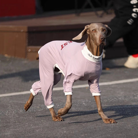 Soft Cotton Breathable Onesie Big Dog Clothes UPF50+