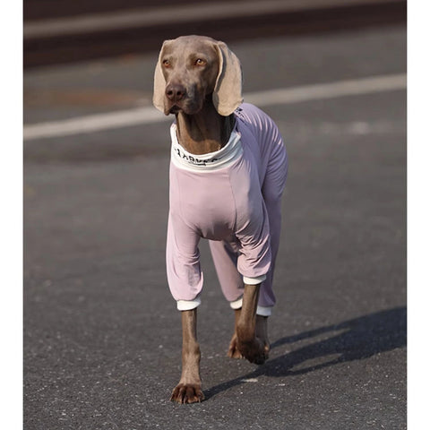 Soft Cotton Breathable Onesie Big Dog Clothes UPF50+