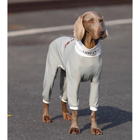 Soft Cotton Breathable Onesie Big Dog Clothes UPF50+