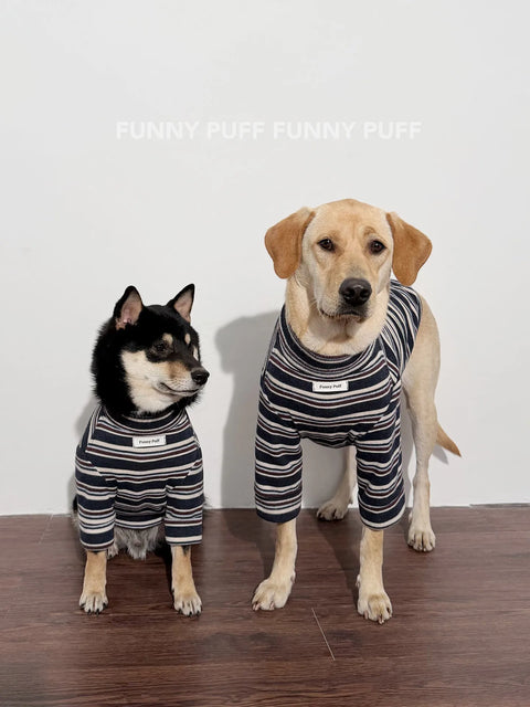 Blue Striped Dog Sweater  for Medium, Large Dogs