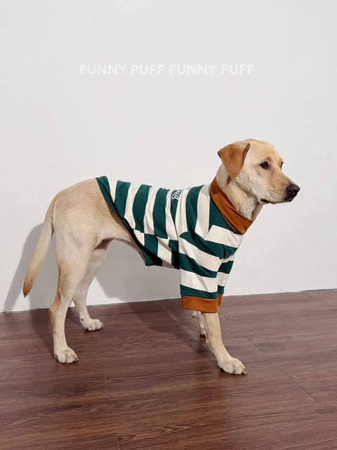 Green White Striped Dog Sweater  for Medium, Large Dogs