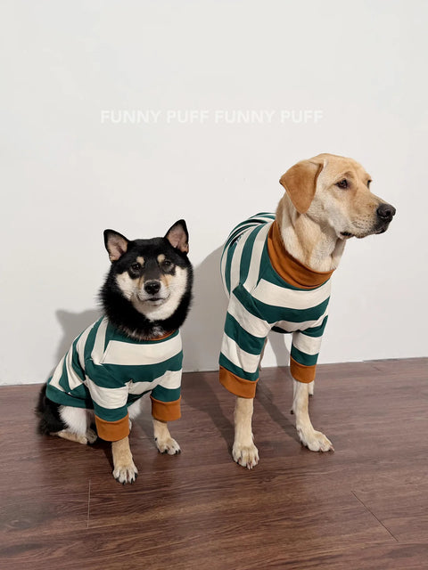 Green White Striped Dog Sweater  for Medium, Large Dogs
