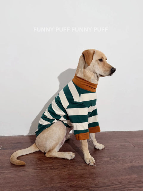 Green White Striped Dog Sweater  for Medium, Large Dogs