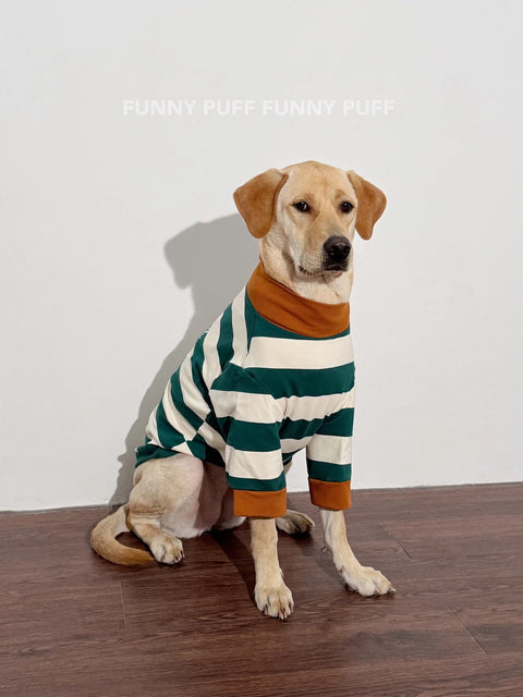 Green White Striped Dog Sweater  for Medium, Large Dogs
