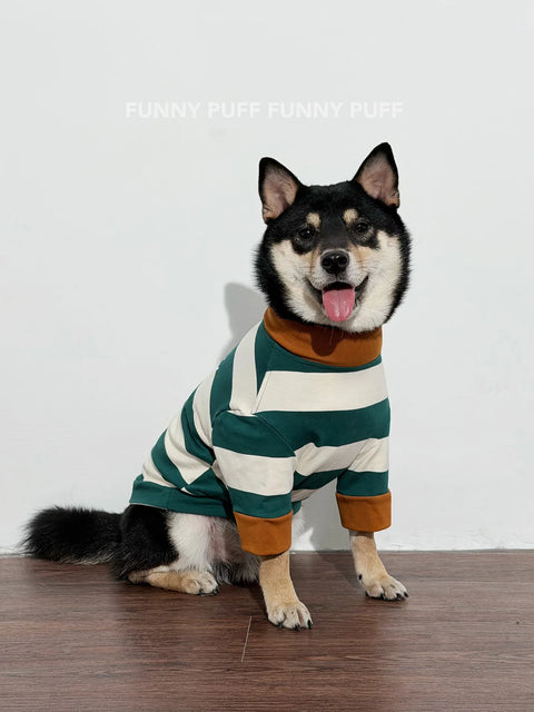 Green White Striped Dog Sweater  for Medium, Large Dogs