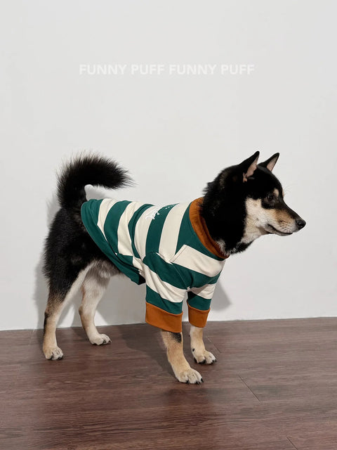 Green White Striped Dog Sweater  for Medium, Large Dogs