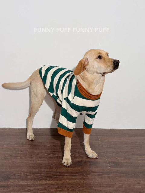 Green White Striped Dog Sweater  for Medium, Large Dogs