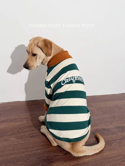 Green White Striped Dog Sweater  for Medium, Large Dogs