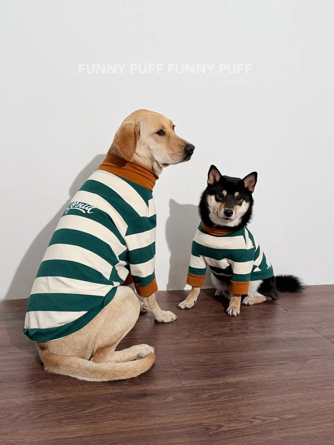 Green White Striped Dog Sweater  for Medium, Large Dogs